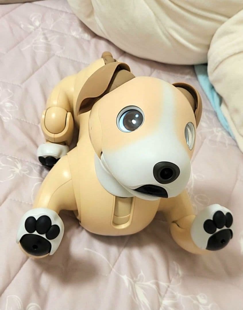 【超希少・限定完売モデル】aibo 2024年限定カラー きなこエディション