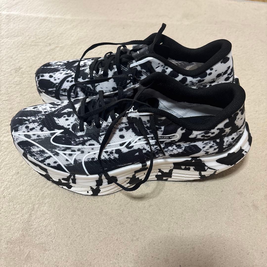 ミズノ ウェーブリベリオンプロ 書き初め 28cm