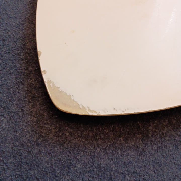 ZAPスキムボード