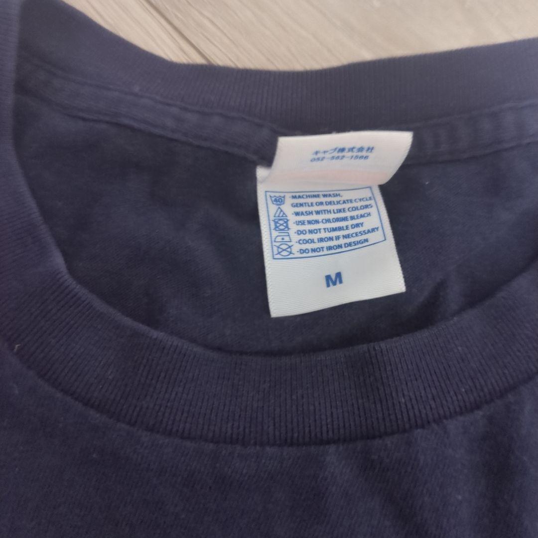 相対性理論/やくしまるえつこ/Tシャツ 2枚＆タオルセット