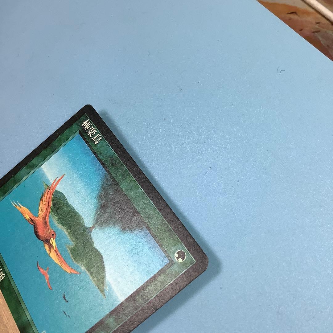 極楽鳥/Birds of Paradise 4ED日本語