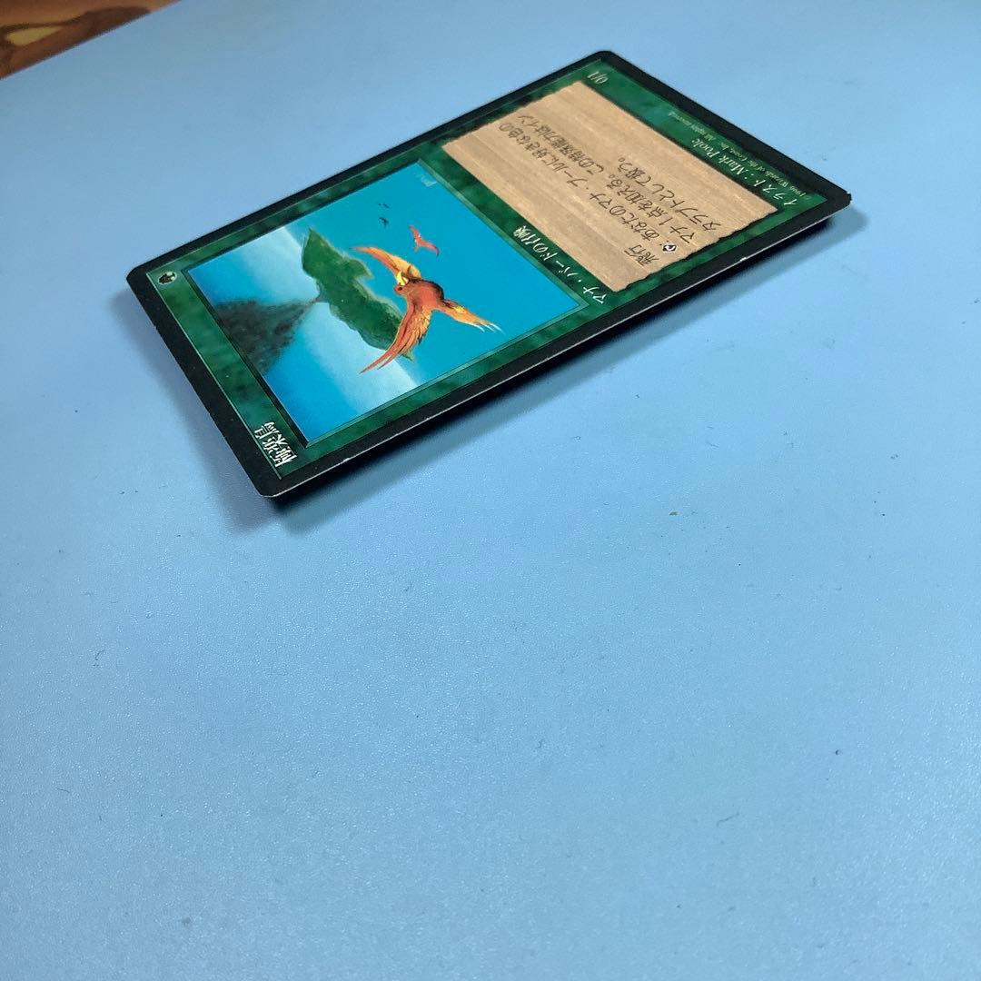 極楽鳥/Birds of Paradise 4ED日本語