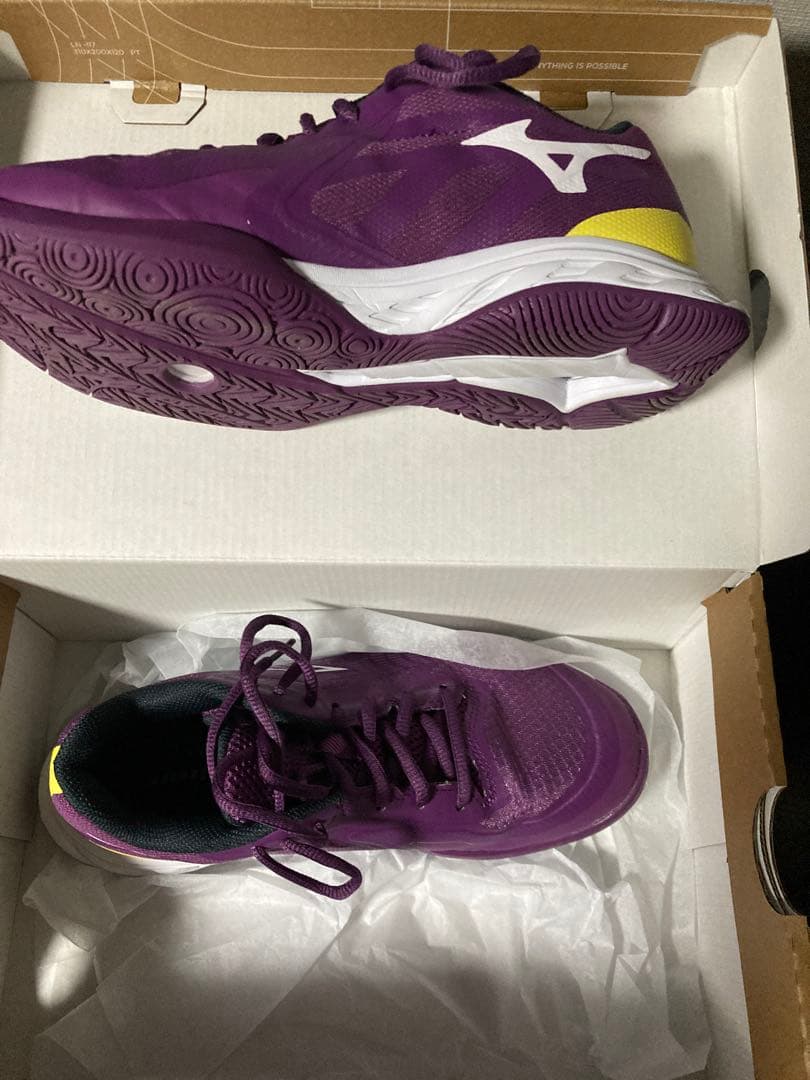 Mizuno Wave FANG EL2バドミントンシューズ 紫/黄色