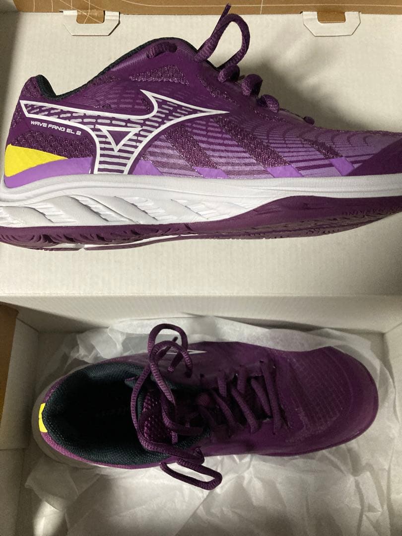 Mizuno Wave FANG EL2バドミントンシューズ 紫/黄色