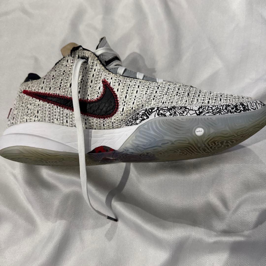 NIKE LEBRON 20 EP サイズ30cm