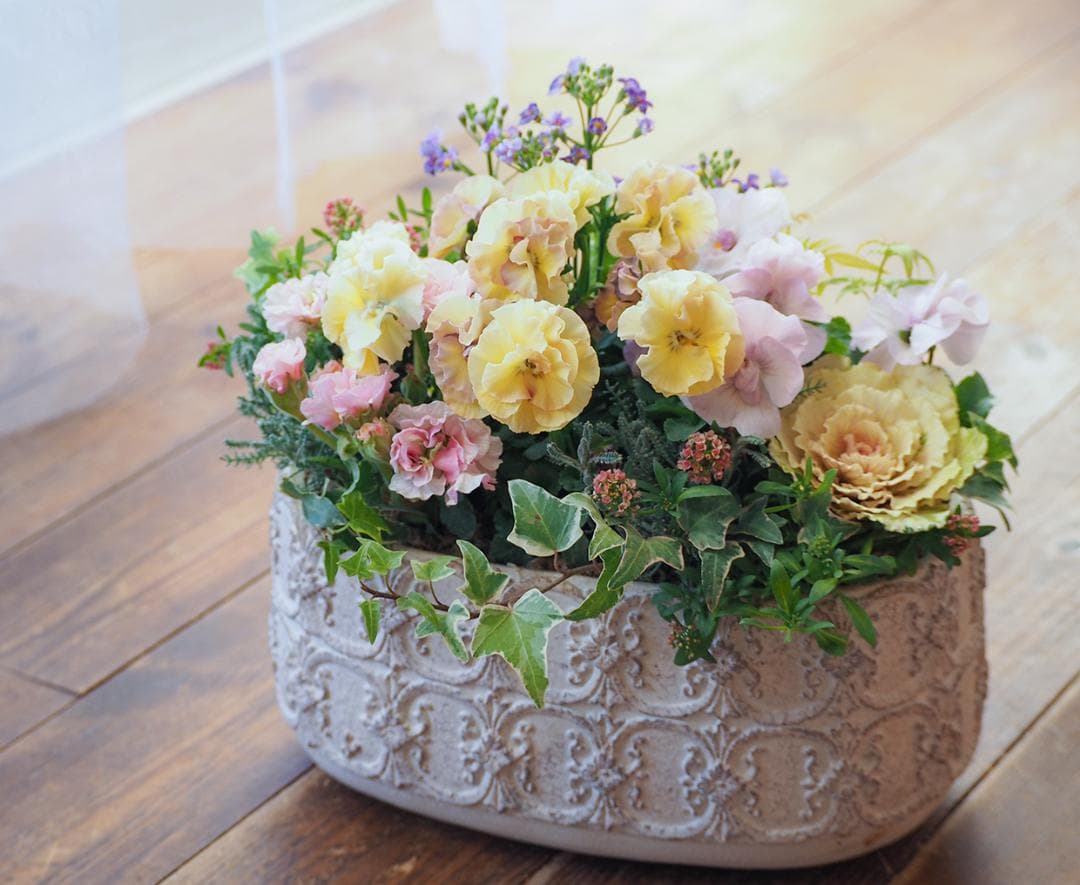 アチュードのキュートで可憐な寄せ植え
