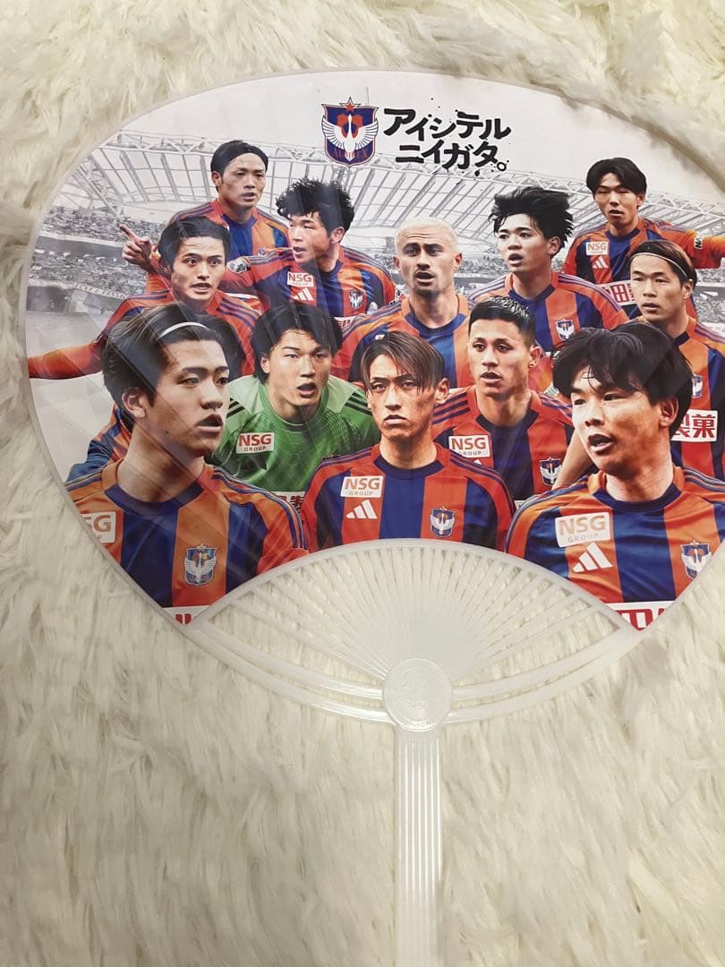 アルビレックス新潟応援グッズ　来場者特典8点セット非売品　記念グッズ