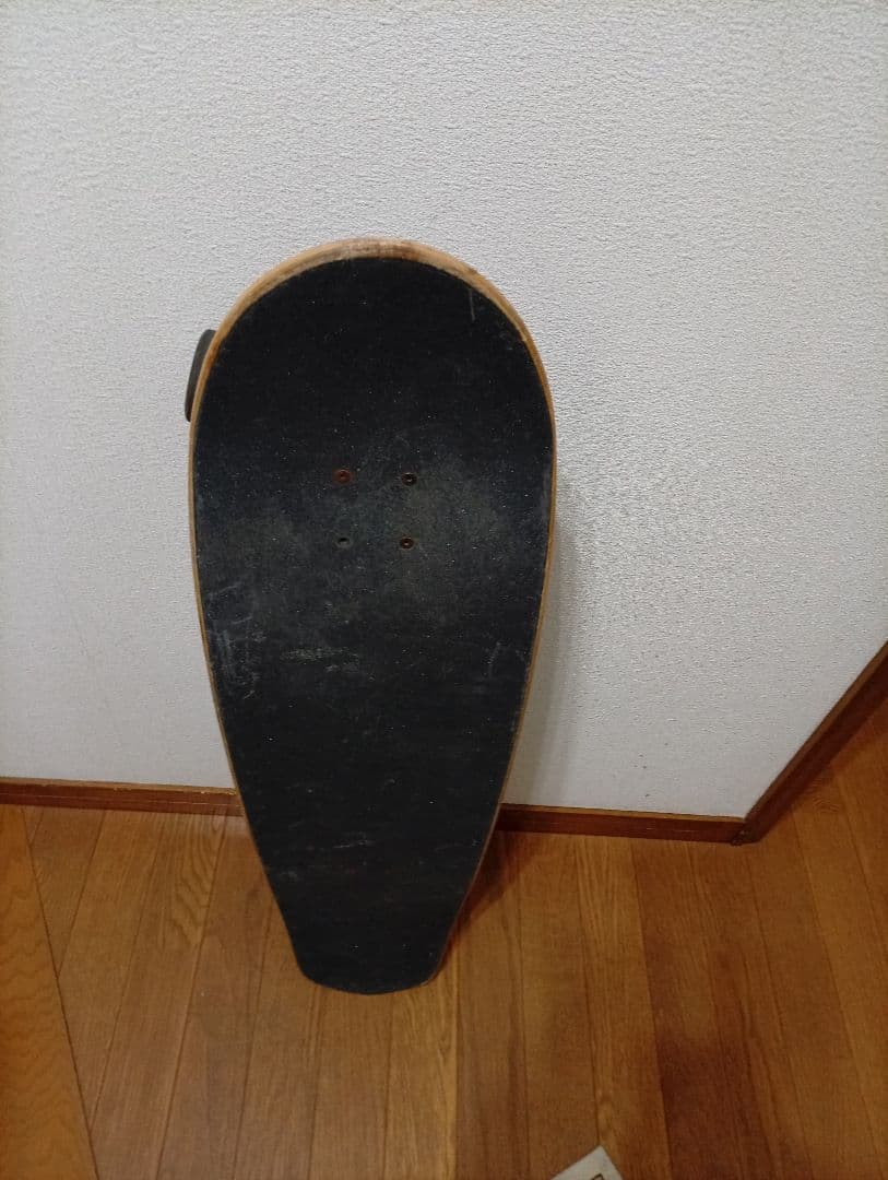 Carver Venice スケートボード　サーフ　トレーニング　カーバー