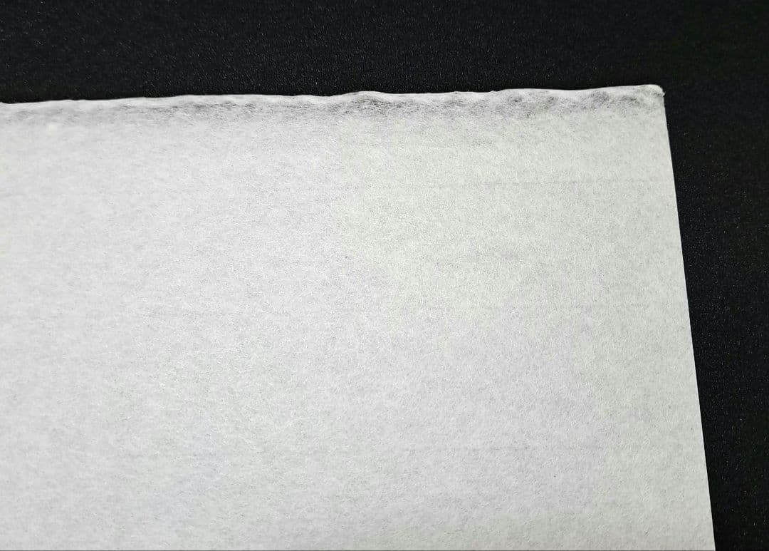 水墨画用紙F8サイズ【墨付絶佳】40枚×22セット