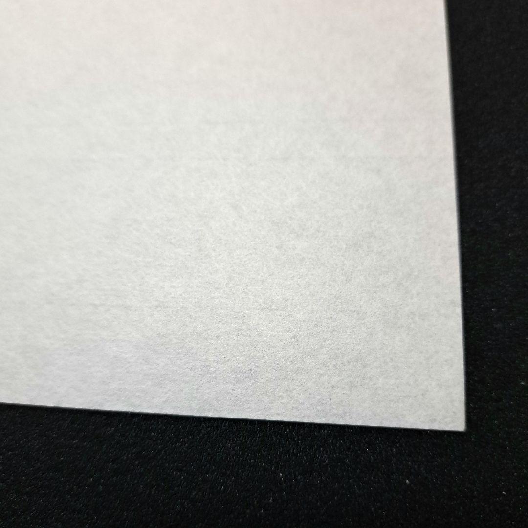水墨画用紙F8サイズ【墨付絶佳】40枚×22セット