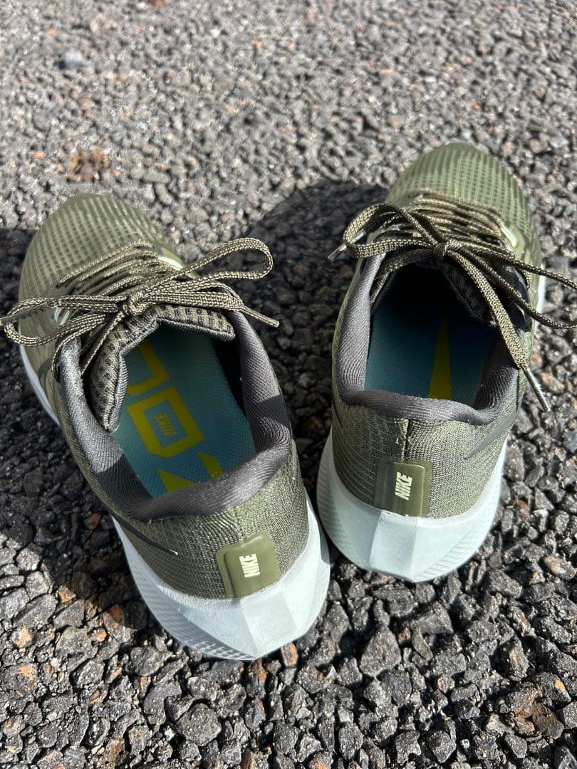 26.0cm Nike ペガサス39 DH4071-300