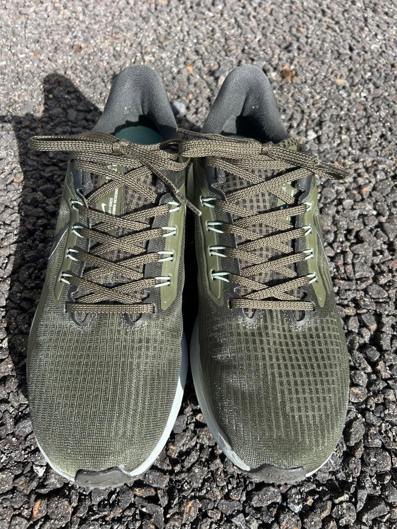 26.0cm Nike ペガサス39 DH4071-300
