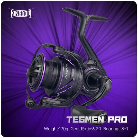 リール TEGMEN Pro 2500SHG KINGDOM