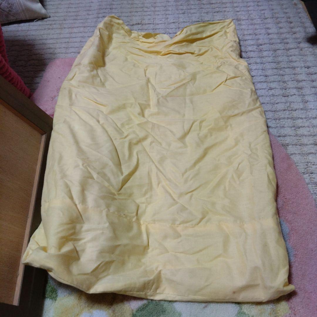 藤井勉さんの少女のデッサン画です。希少です。希望と書いてありました。