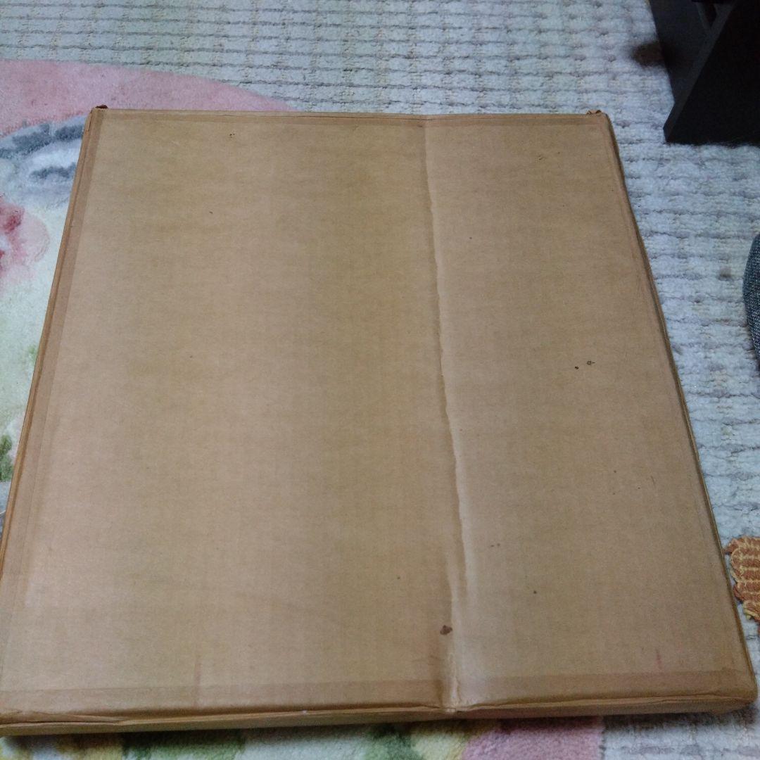 藤井勉さんの少女のデッサン画です。希少です。希望と書いてありました。