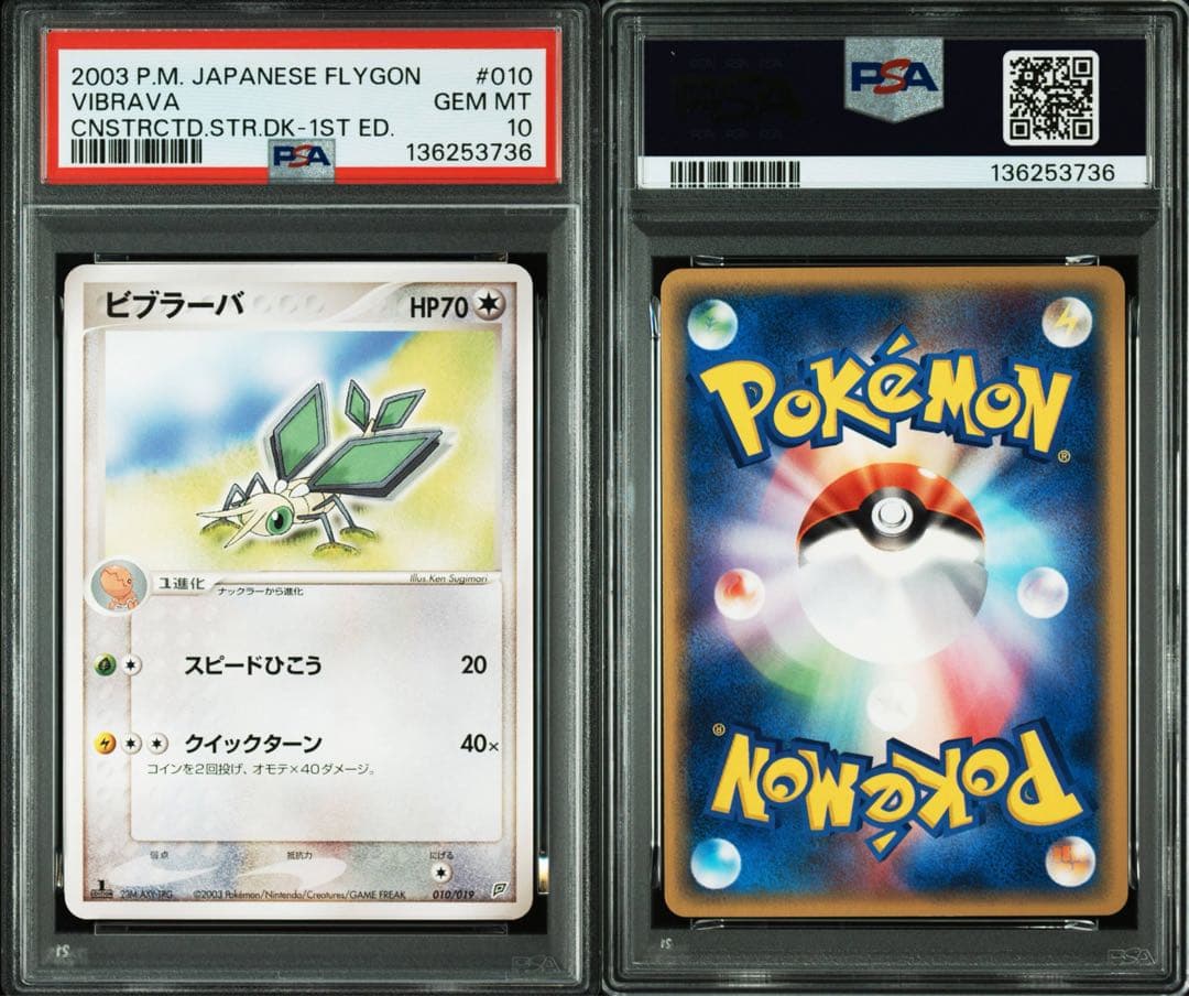 【psa10.10.6】ナックラー ビブラーバ フライゴン 進化ライン　連番