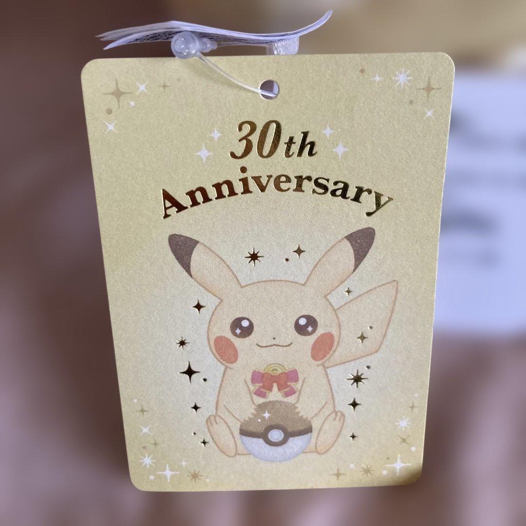 ポケモンセンター　ポケモン30周年記念ピカピカ！ピカチュウぬいぐるみ&マスコット