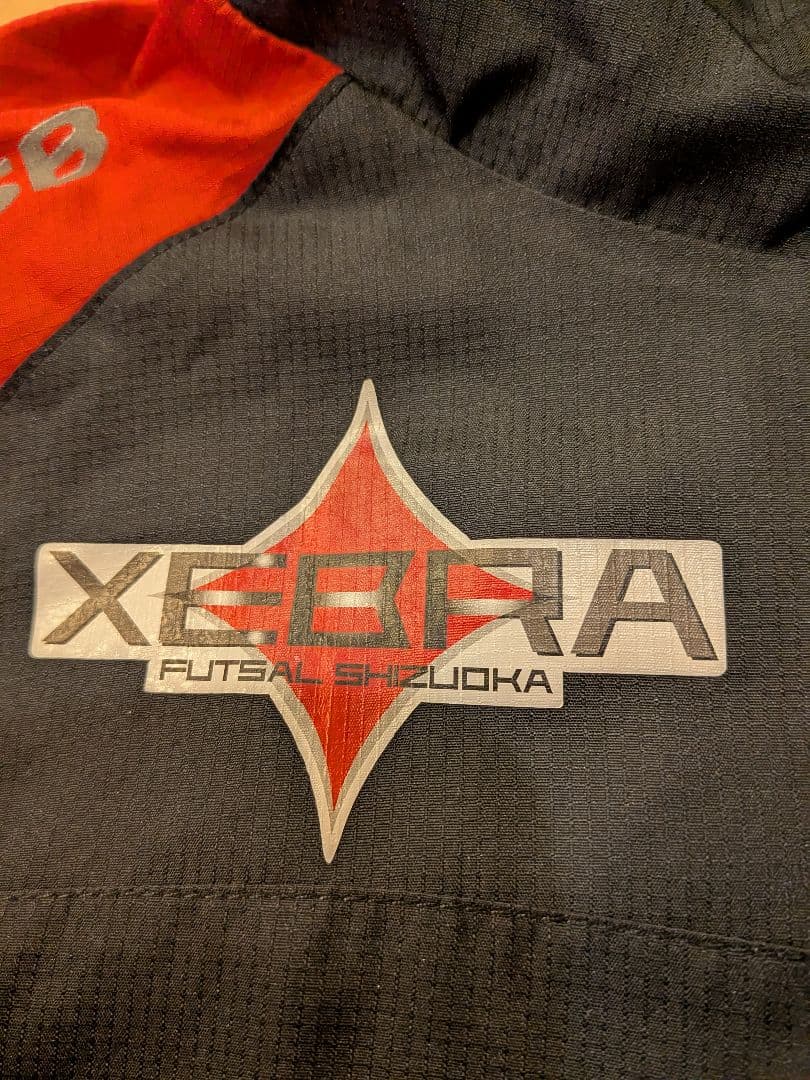 ルースイソンブラ XEBRA Futsal Shizuoka ピステ