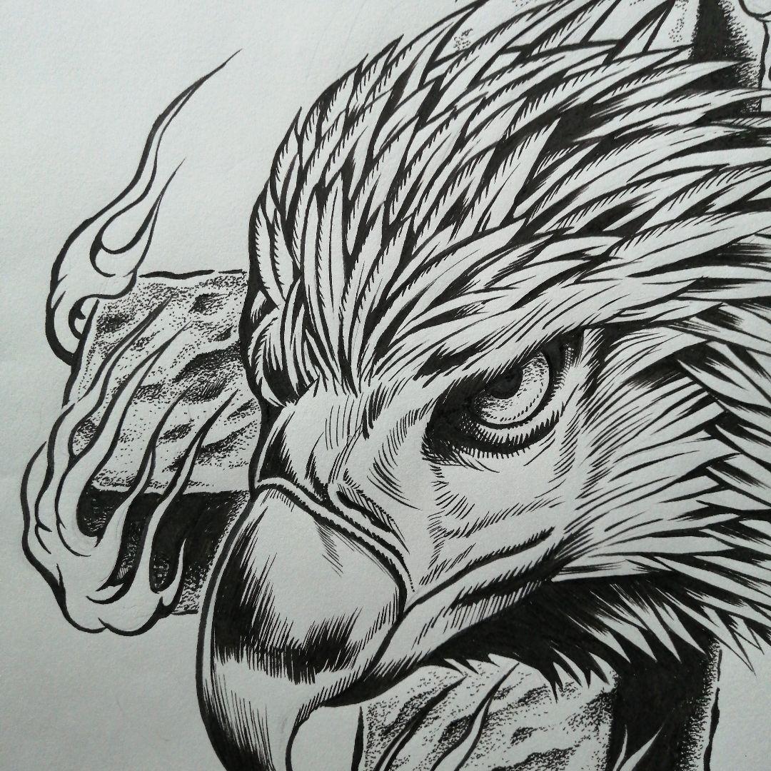 B4原画　鷹