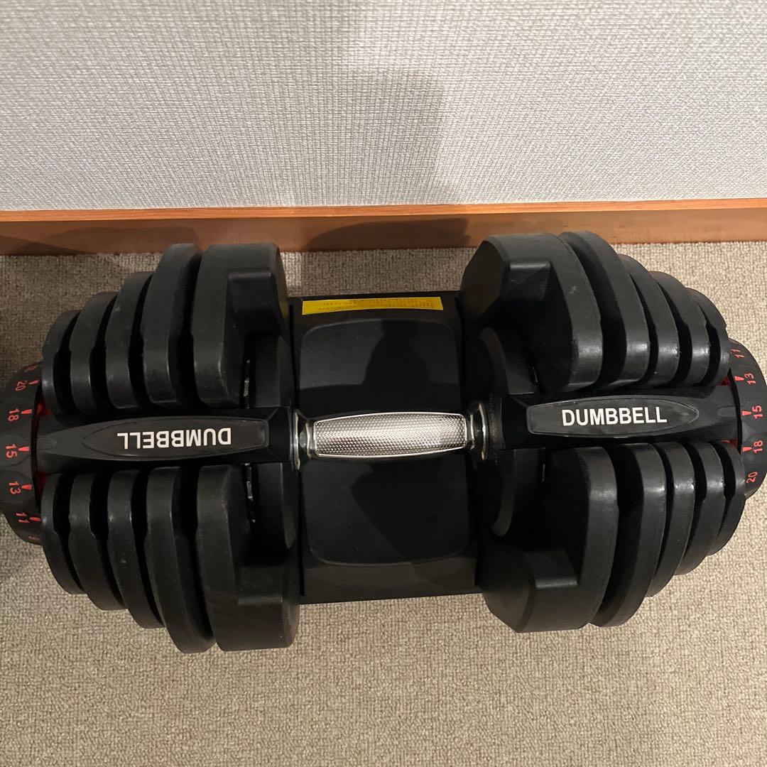 可変式ダンベルセットとフラットベンチ、懸垂台