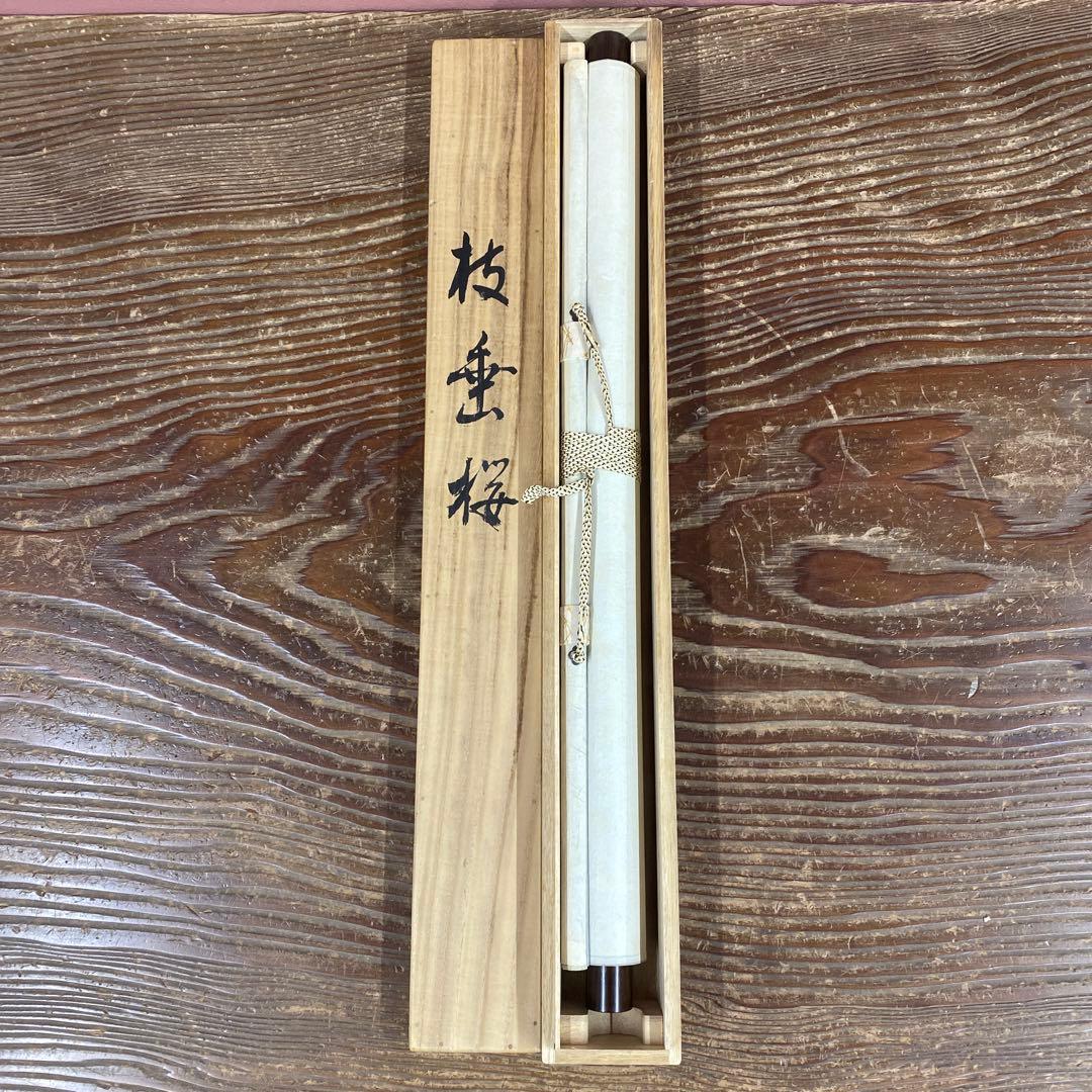 美品 掛け軸 玉香作 枝垂桜図 共箱 さくら 縁起物