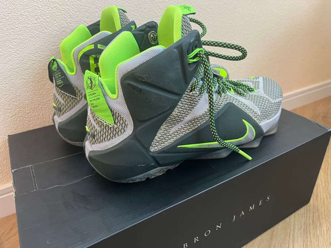 その他 NIKE LEBRON 12 Dunk Force