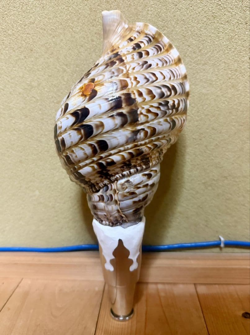 修験道法螺貝　山伏　密教　ほら貝　ホラガイ