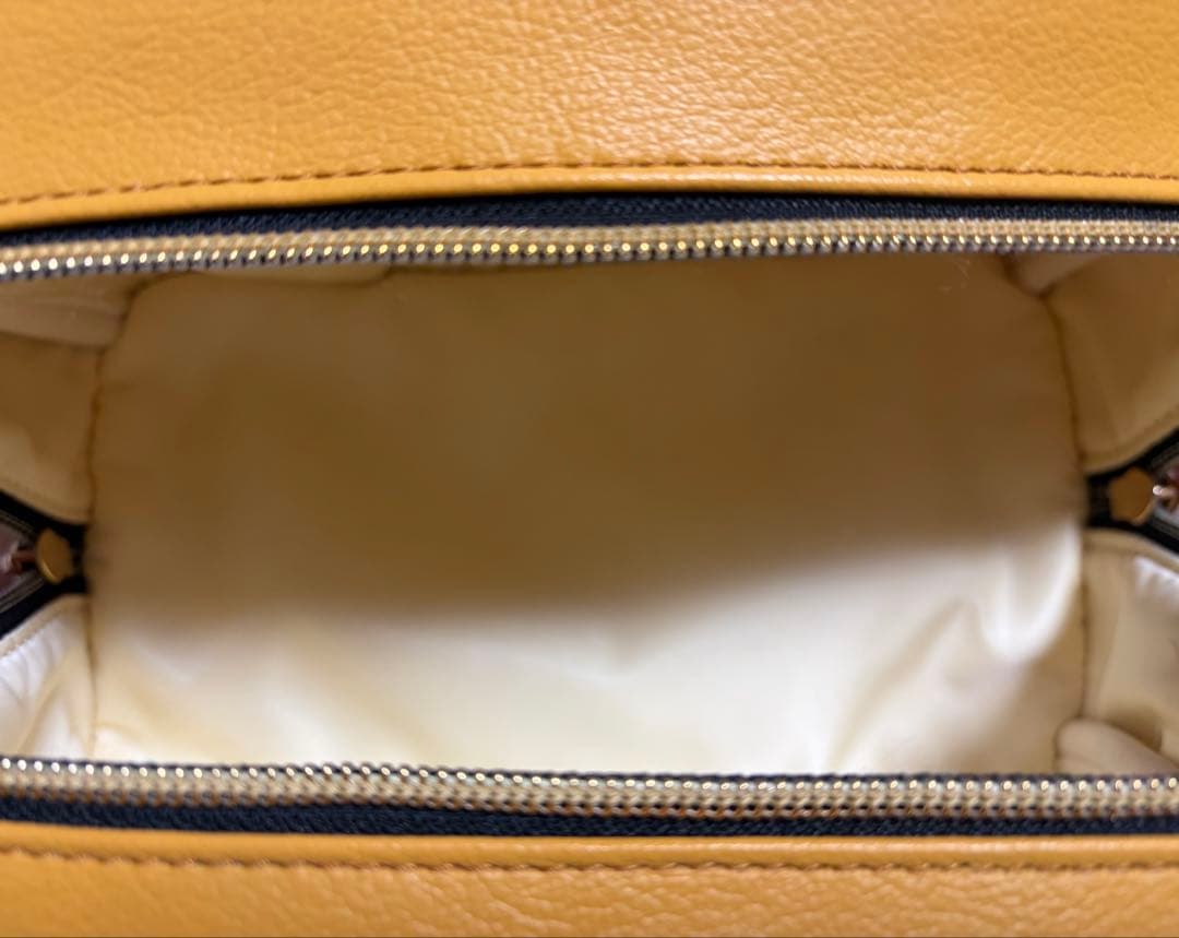 レザレクション完売品★ カートバック