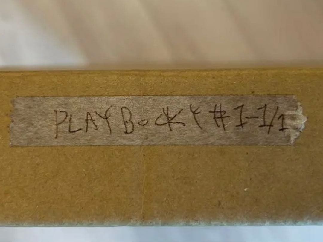 【希少】PLAYBOY プレイボーイ シルクスクリーン