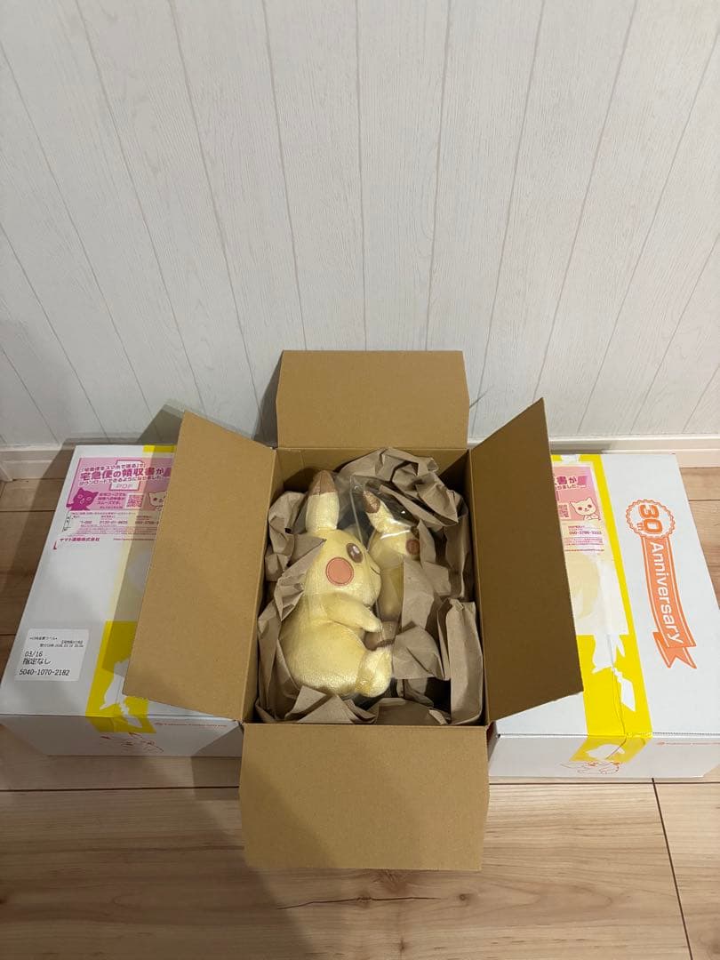 30周年記念 ピカチュウ マスコット&ぬいぐるみセット