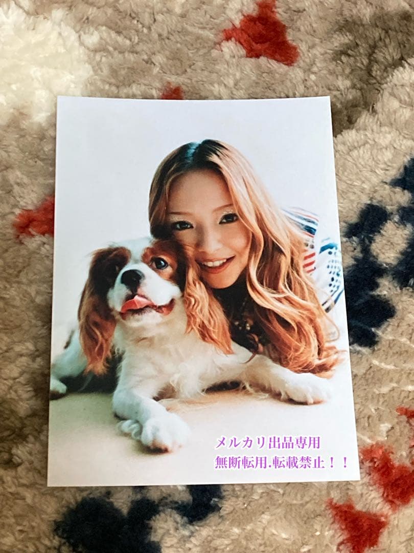 値下げ　超美品　超レア　安室奈美恵さん公式グッズ写真４枚＋ニュースペーパーセット