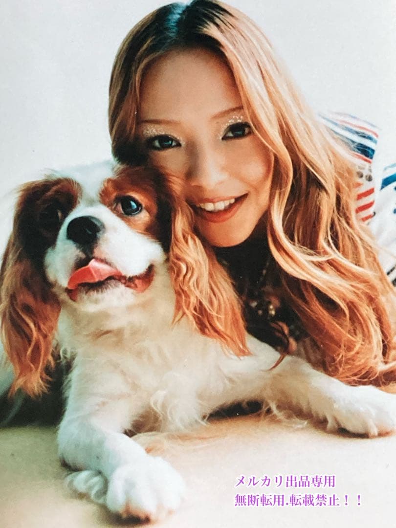 値下げ　超美品　超レア　安室奈美恵さん公式グッズ写真４枚＋ニュースペーパーセット