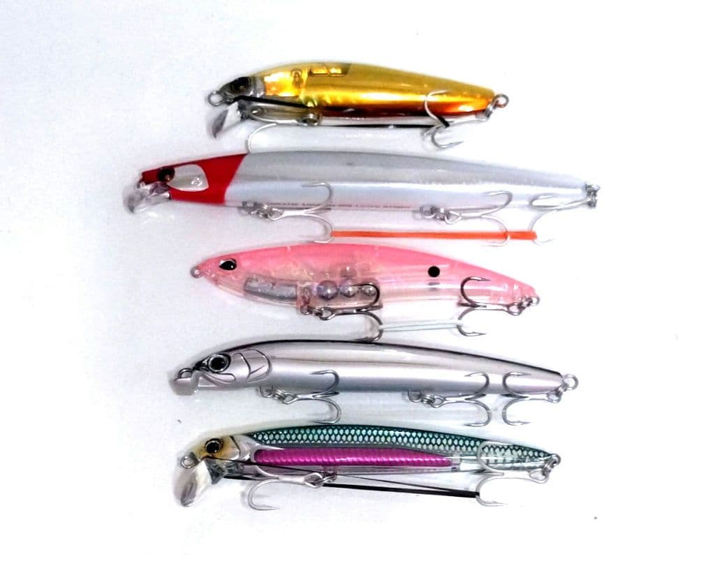 青物　シーバス　10点セット売り