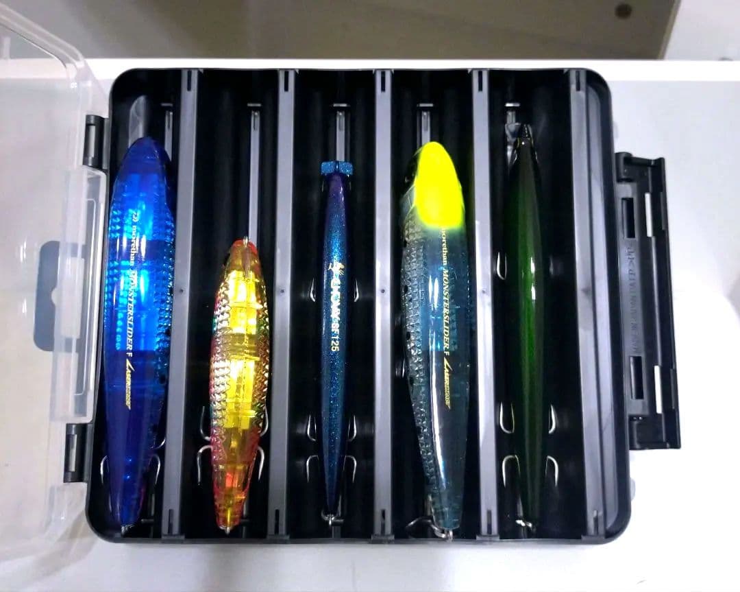 青物　シーバス　10点セット売り