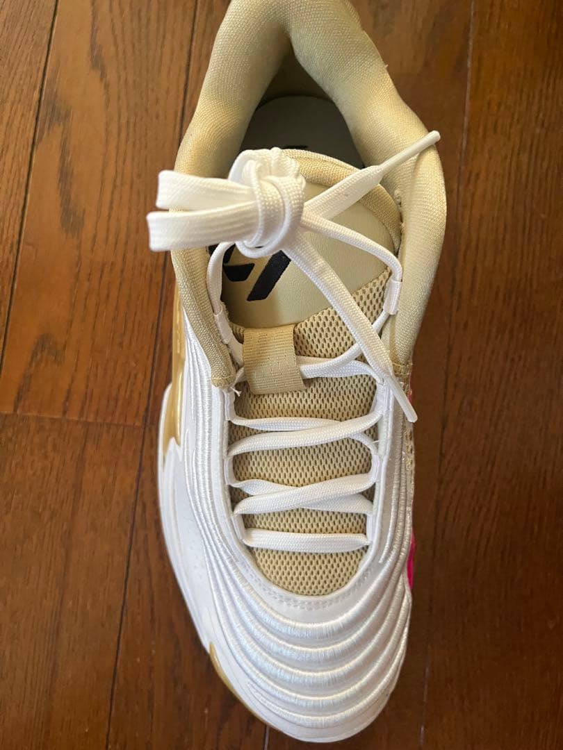 新品　JORDAN LUKA 3 SE PF 11 ルカ3 27.5 値下げ可能
