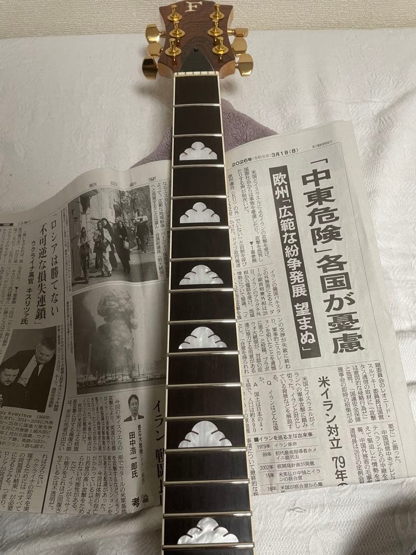 フェルナンデス　MG100x hide ギター (80.120x、同等品)