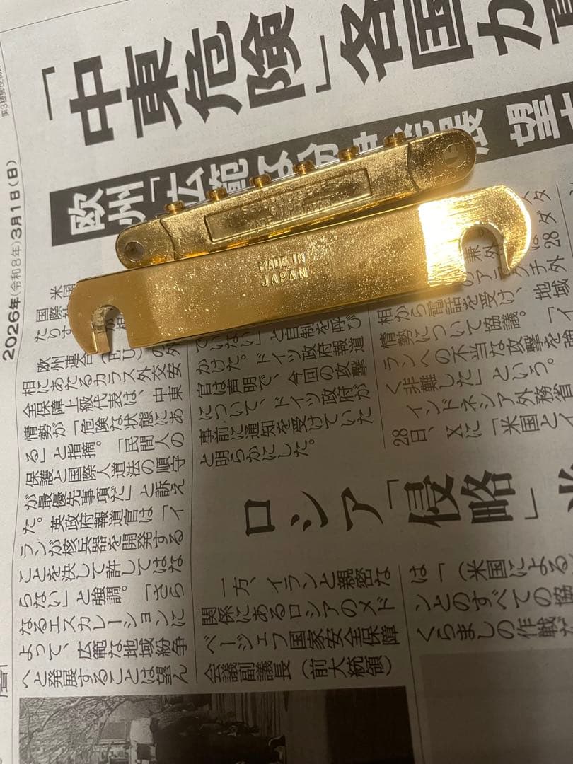 フェルナンデス　MG100x hide ギター (80.120x、同等品)