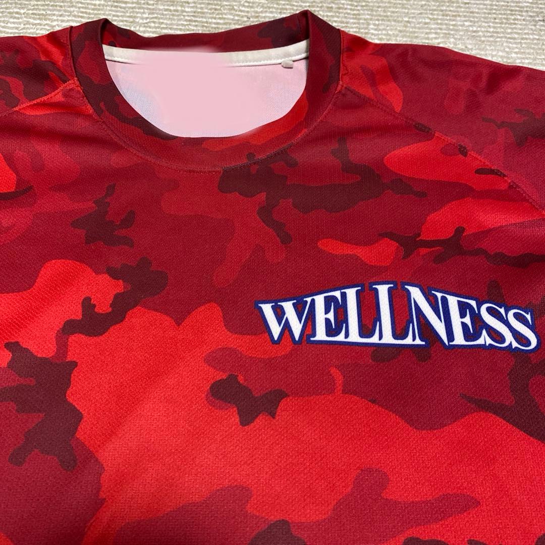 ★非売品★レア★日本ウェルネススポーツ大学　ウェアＬ