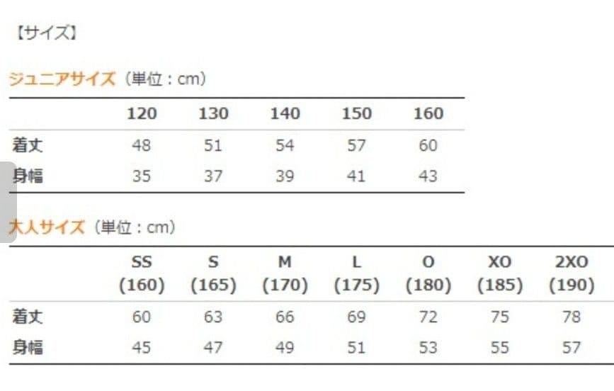 激レア 天理大学 バレーボール 大学バレー 国体 天皇杯 選手支給品