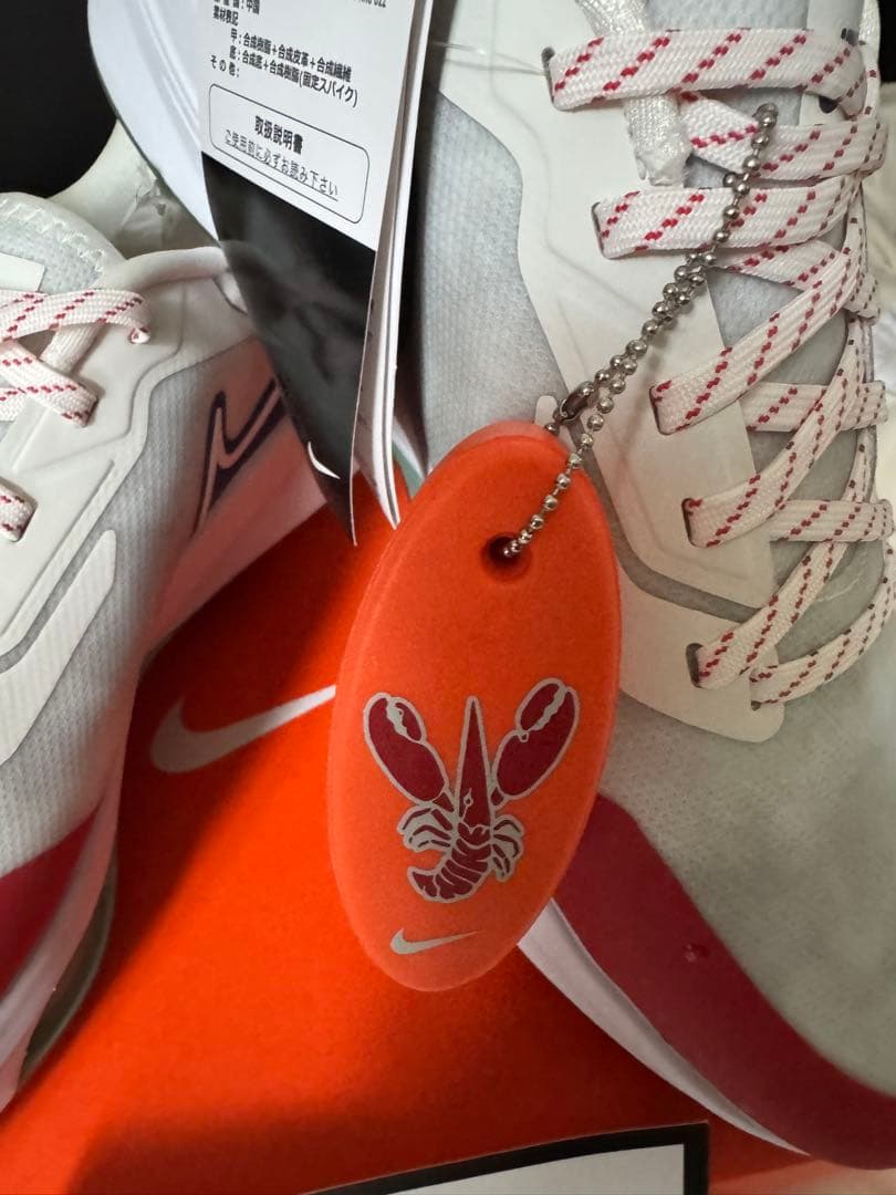 NIKE GOLF ゴルフシューズ