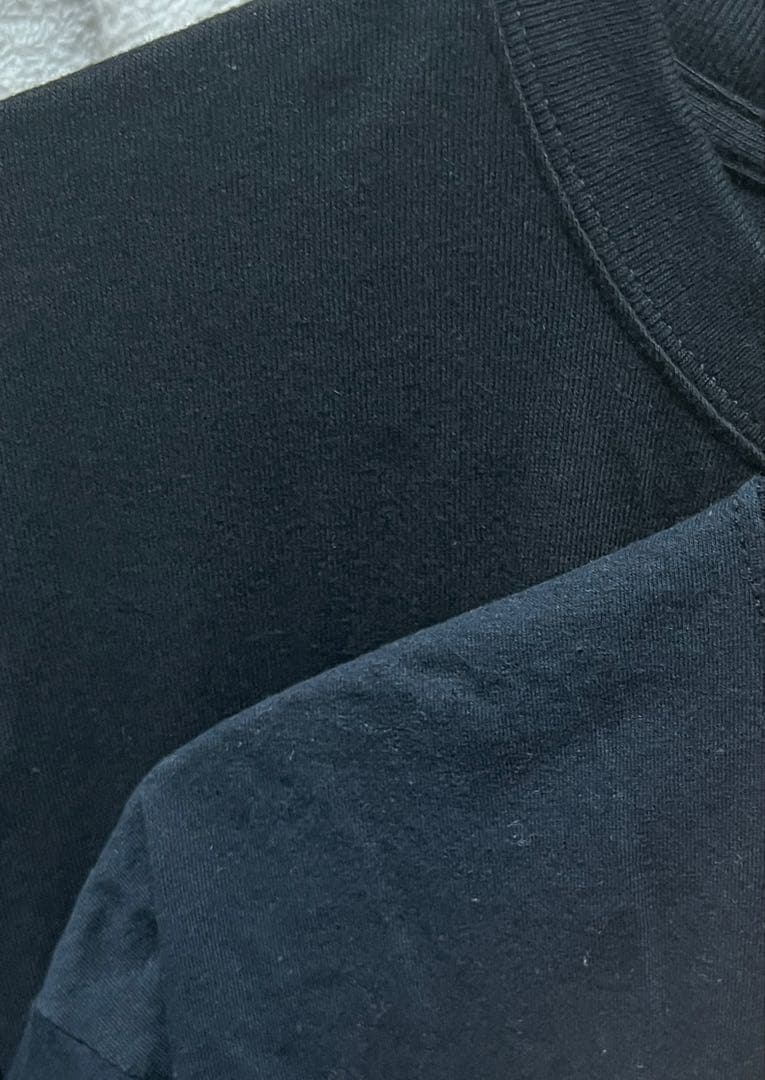 ラムシュタイン　REISE, REISE バンドtシャツ