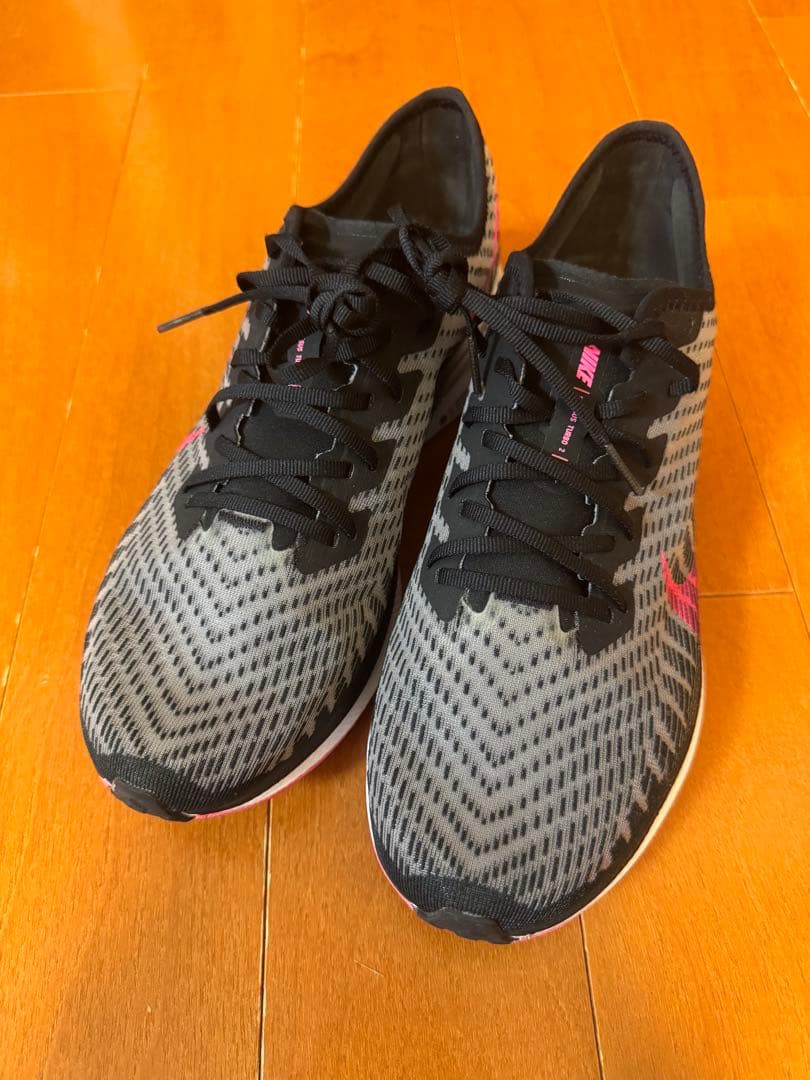 Nike ZoomX ペガサスターボ2 27