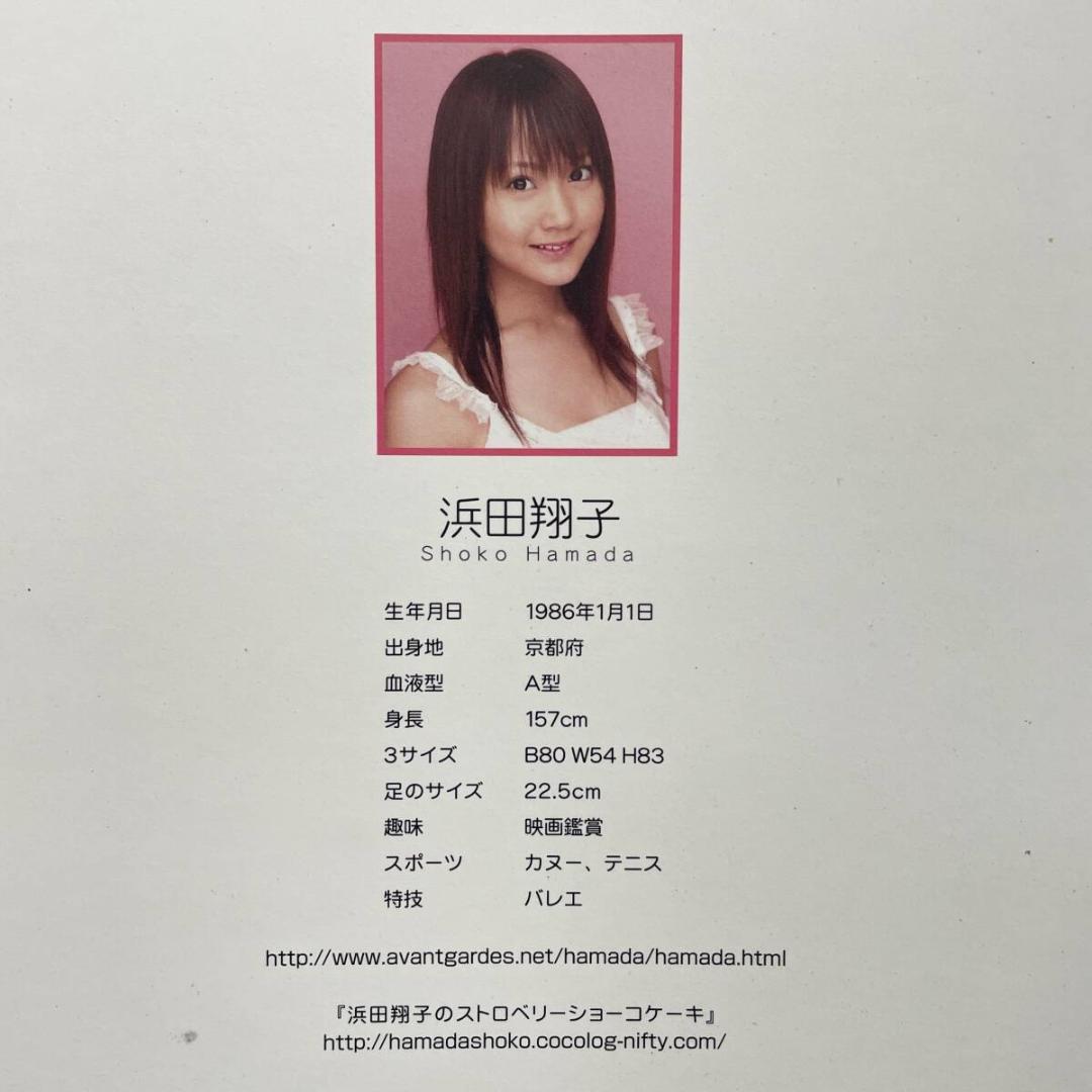 未開封 浜田翔子 フィギュア styleシリーズ DVD付き R8SB87