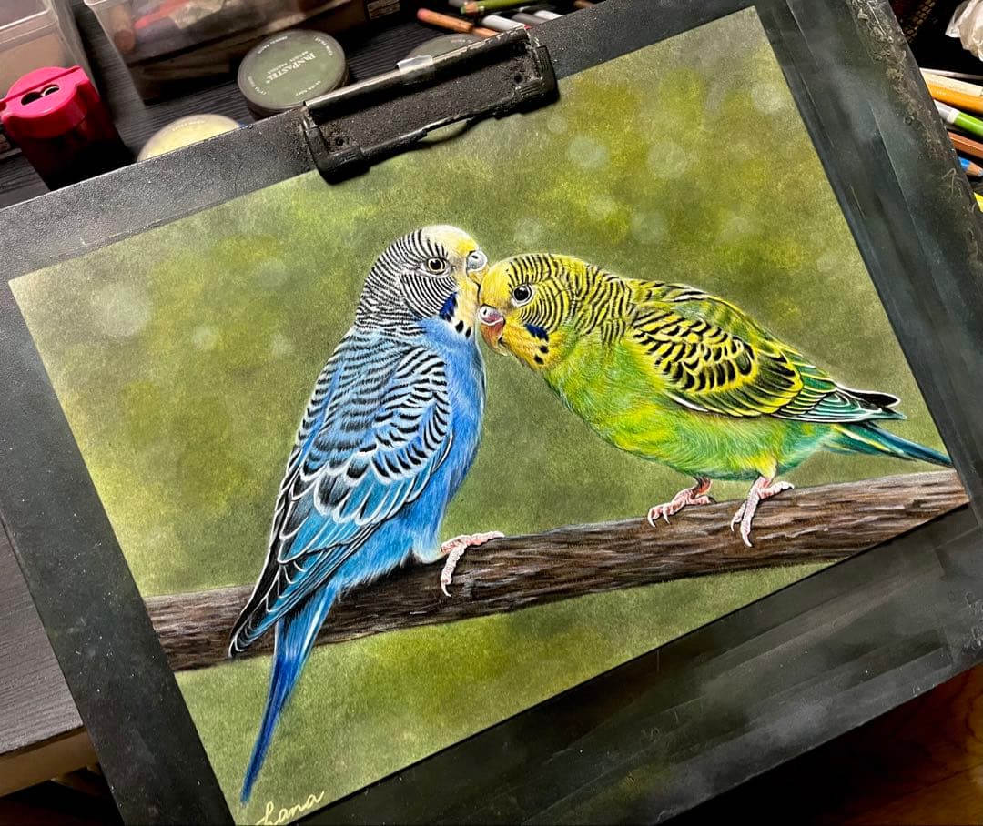 仲良しセキセイ　色鉛筆画