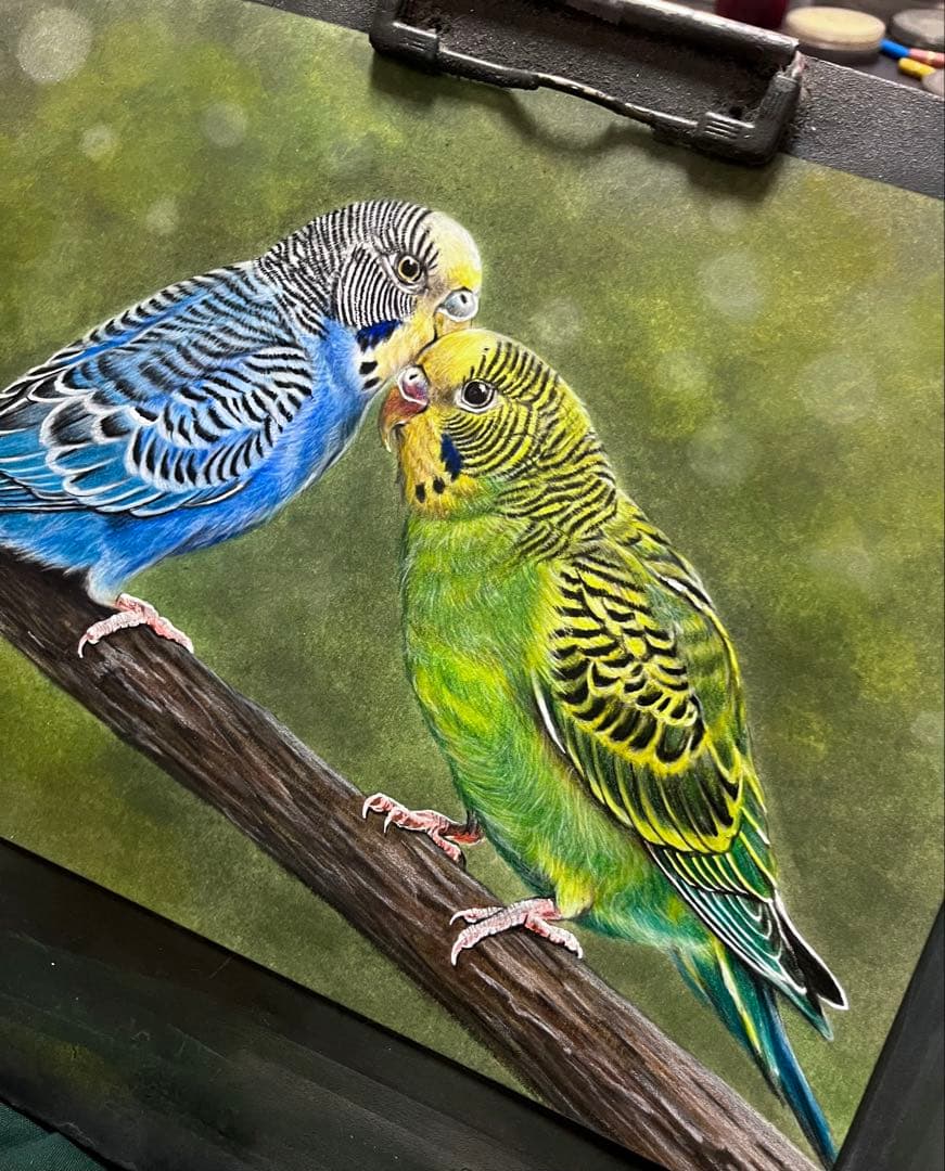 仲良しセキセイ　色鉛筆画