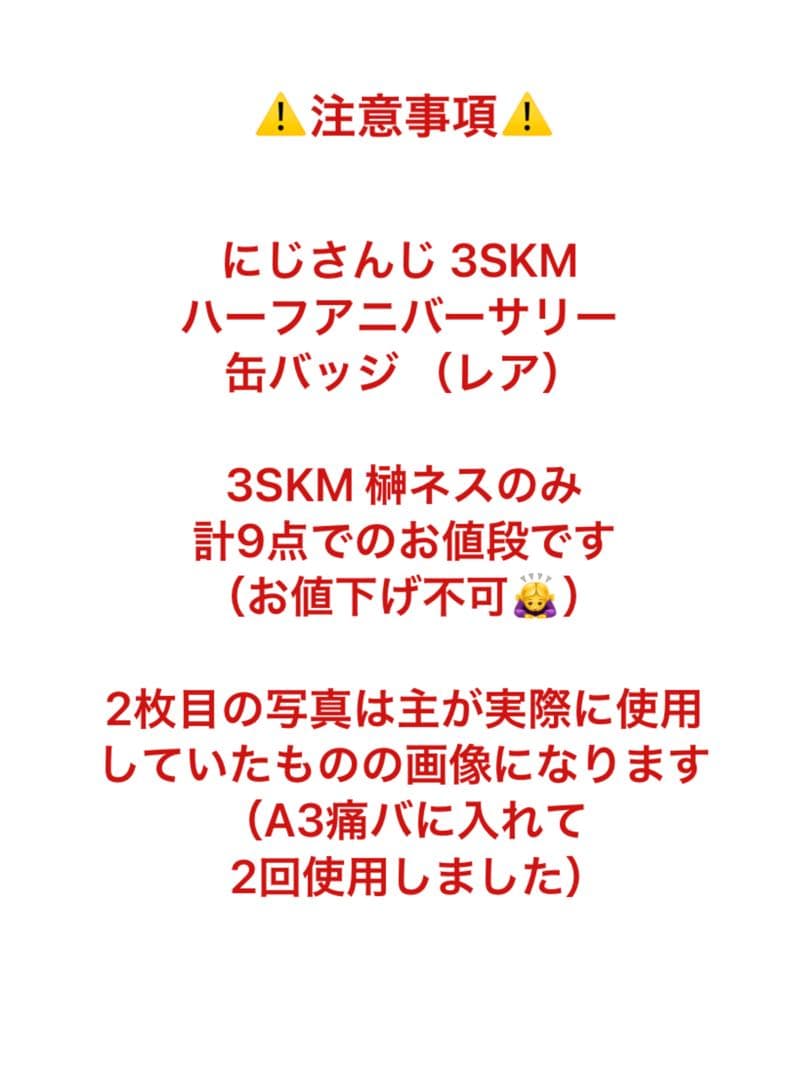 にじさんじ 3SKM ハーフアニバーサリー ランダム缶バッジレア 榊ネス 9点⑤