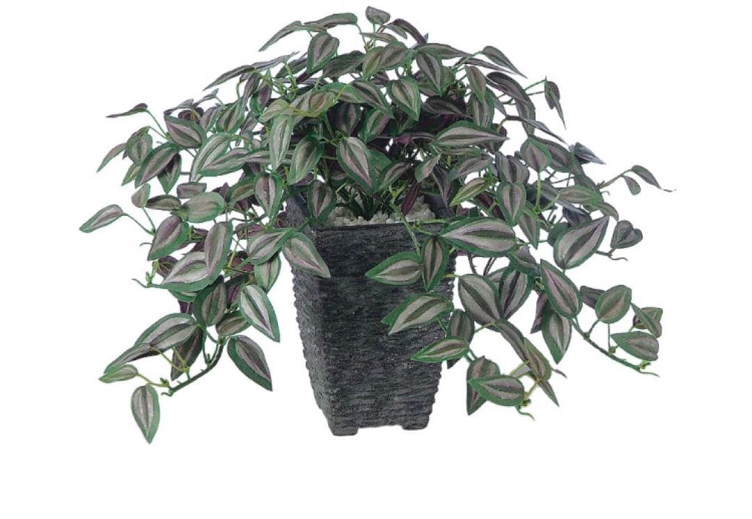 光触媒　人工観葉植物　ウォールグリーン　フェイクグリーン　セブリナ 25cm