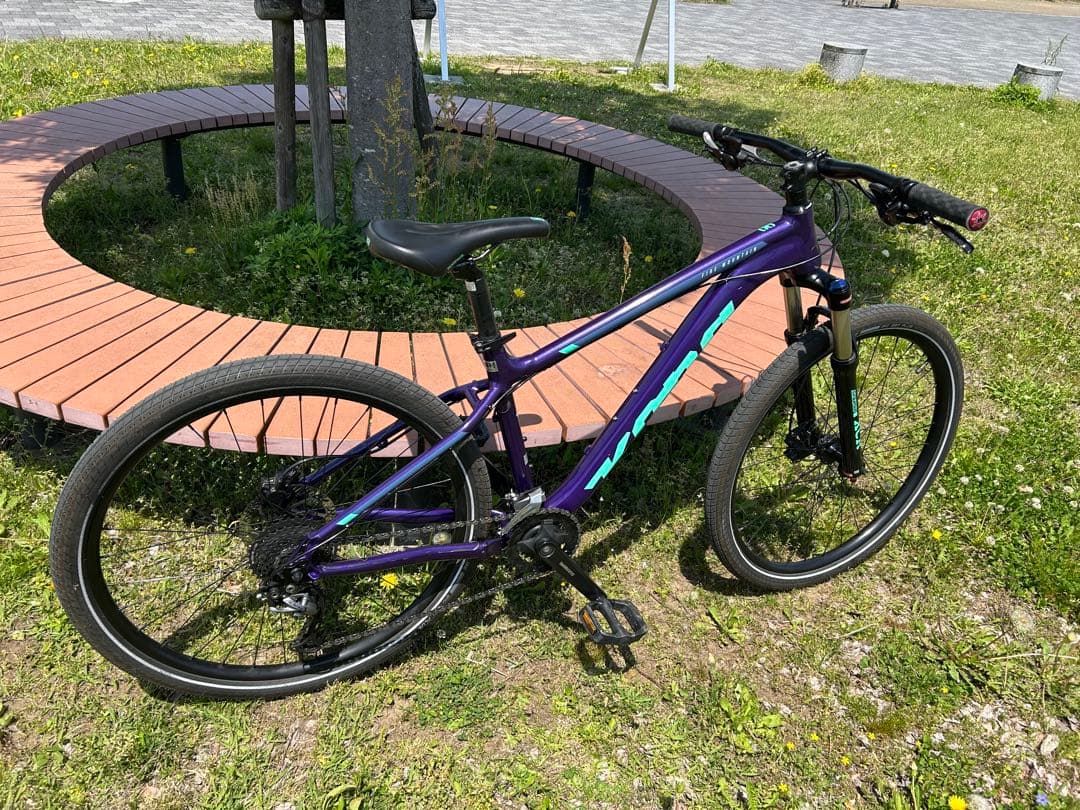 【手渡し限定】kona ファイヤーマウンテン
