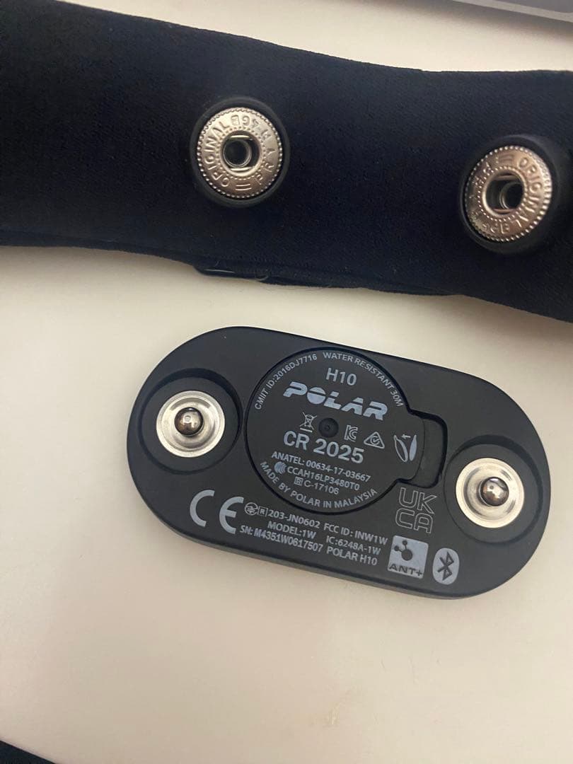 超美品 POLAR (ポラール) H10 N 心電式 胸 心拍センサーベルト付き