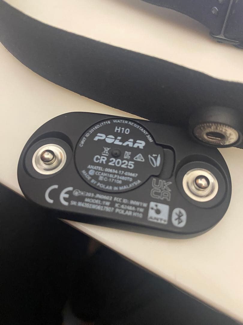 超美品 POLAR (ポラール) H10 N 心電式 胸 心拍センサーベルト付き